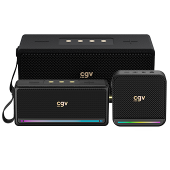 Enceintes bluetooth SolidVibe